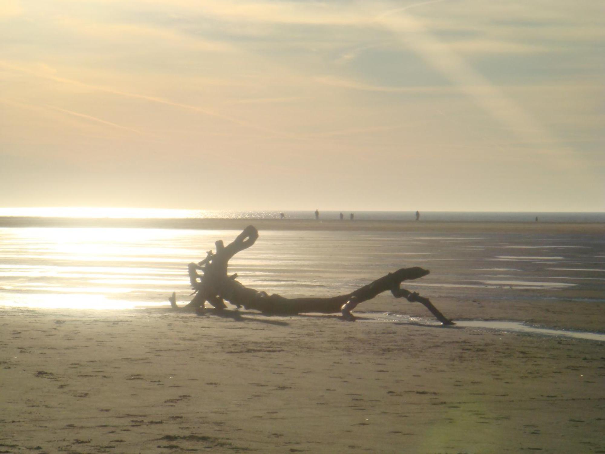 Hotel Twilling Sankt Peter-Ording Luaran gambar